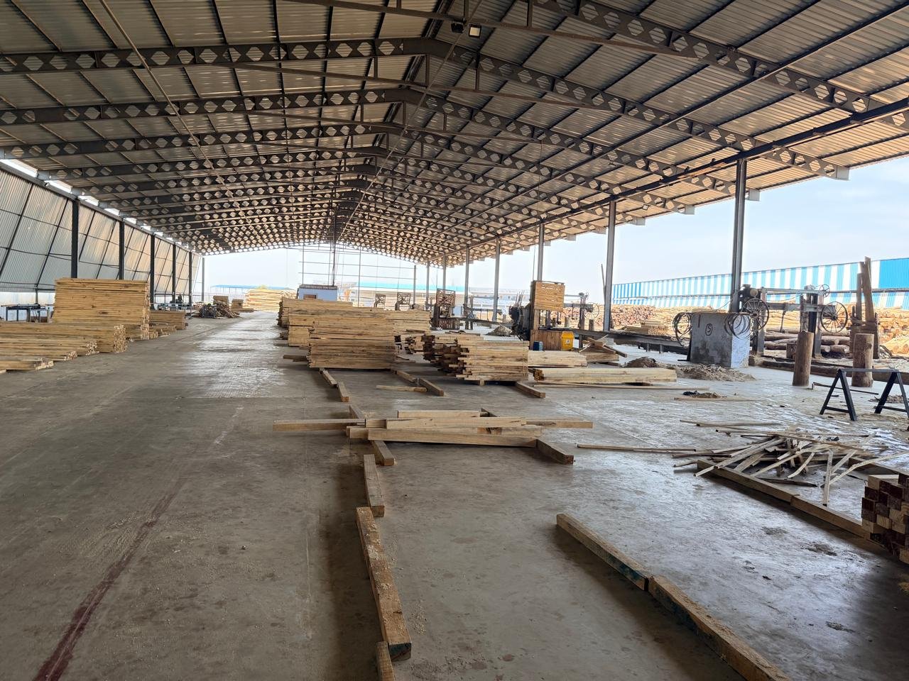 Sawmill operations at Ashok Aggarwal & Sons, Gandhidham Gujarat